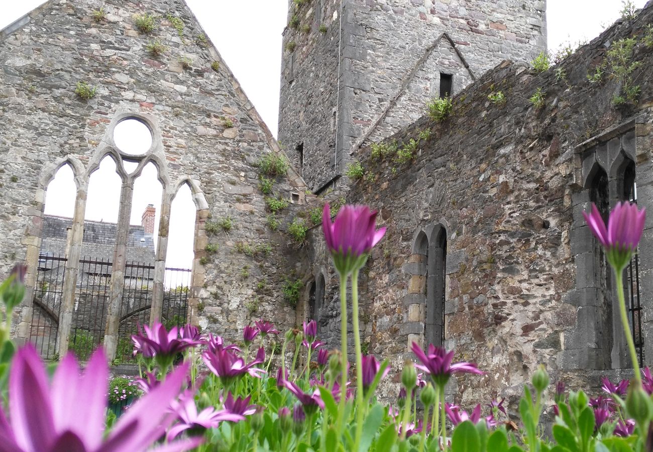 Waterford City, Blackfriars Abbey Ruin, County Waterford