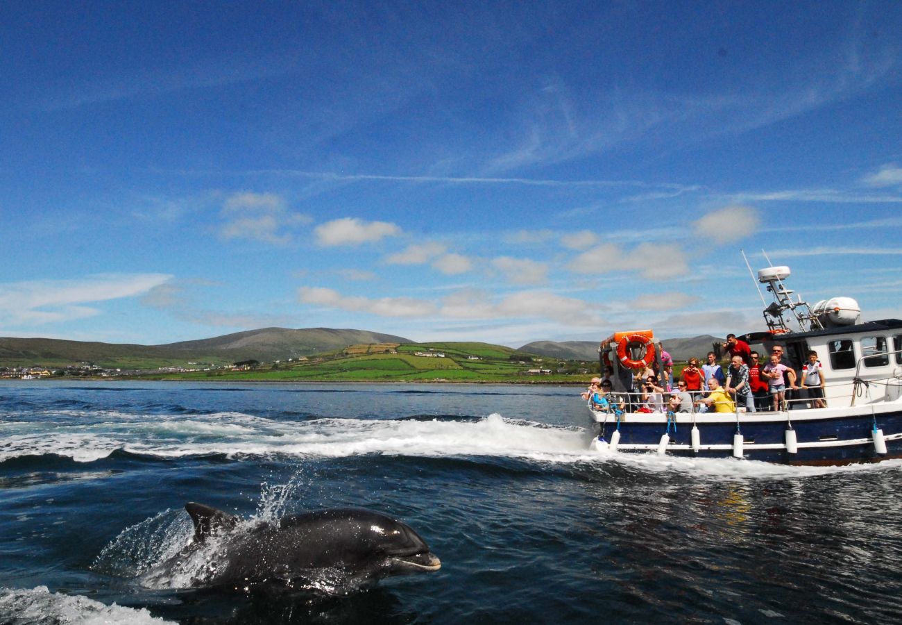 Fungi the Dolphin, Dingle County Kerry, Ireland