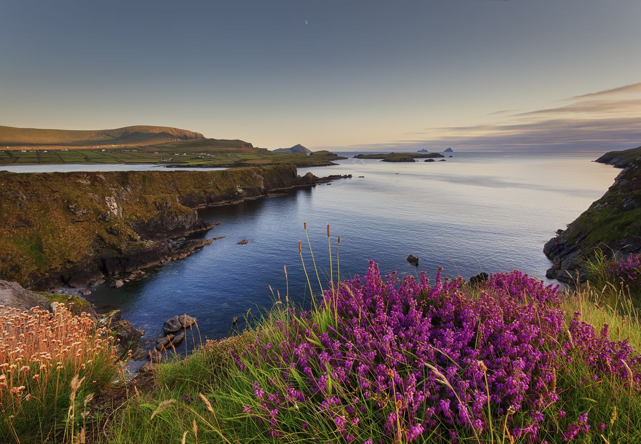 Valentia Island, County Kerry, Ireland