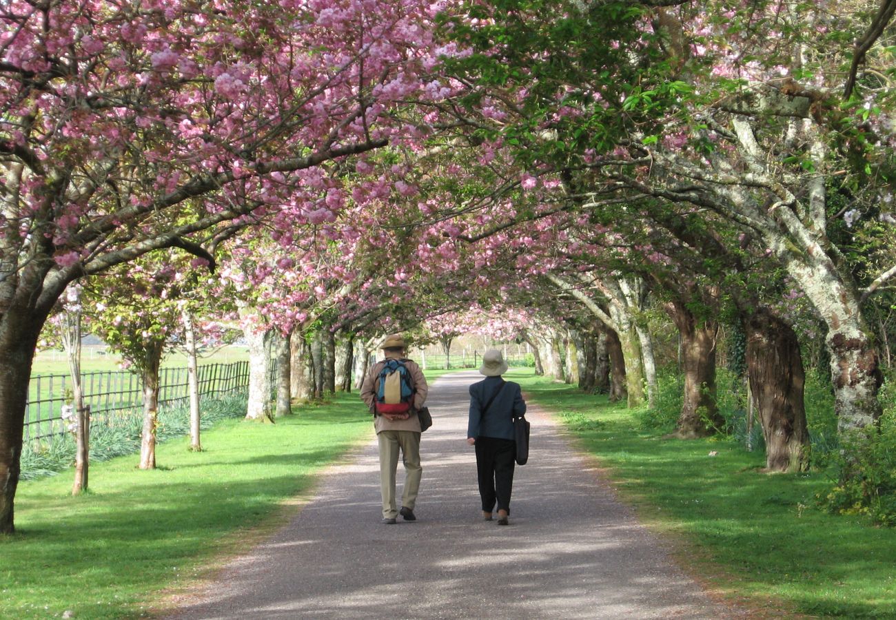 Killarney Cherry Drive, County Kerry, Ireland