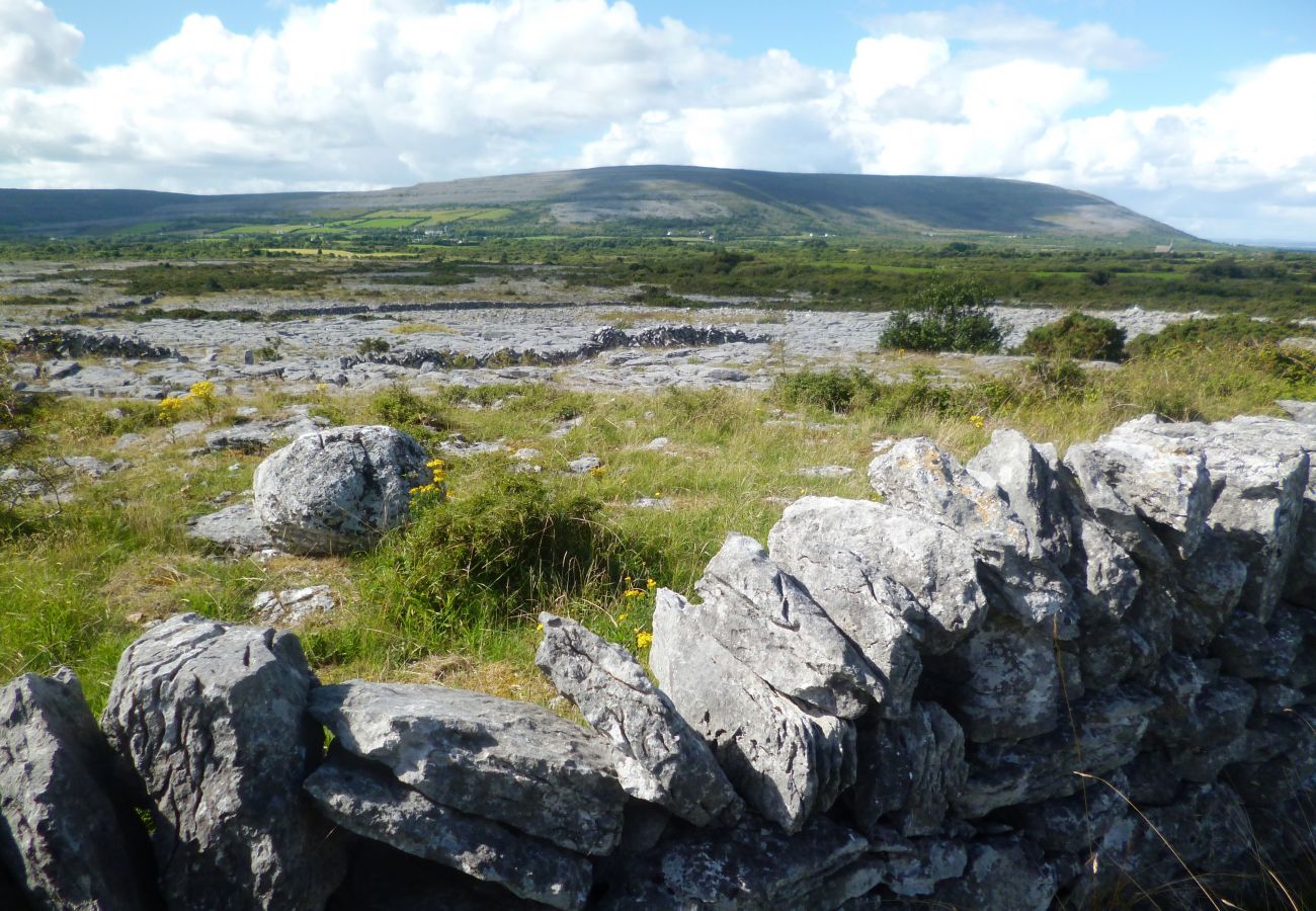 Burren National Park County Clare Ireland