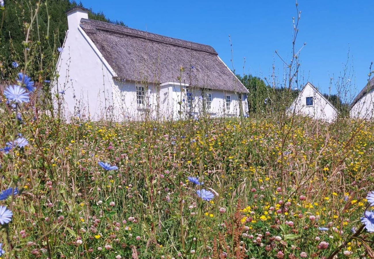 Corofin Lake Cottages (4 Bed), Traditional Holiday Cottages Available Near the Burren in County Clare