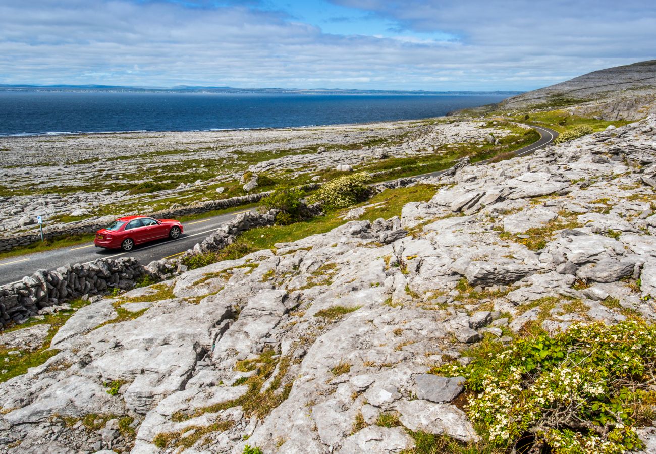 The Burren, Clare, Chris Hill Photographic 2015