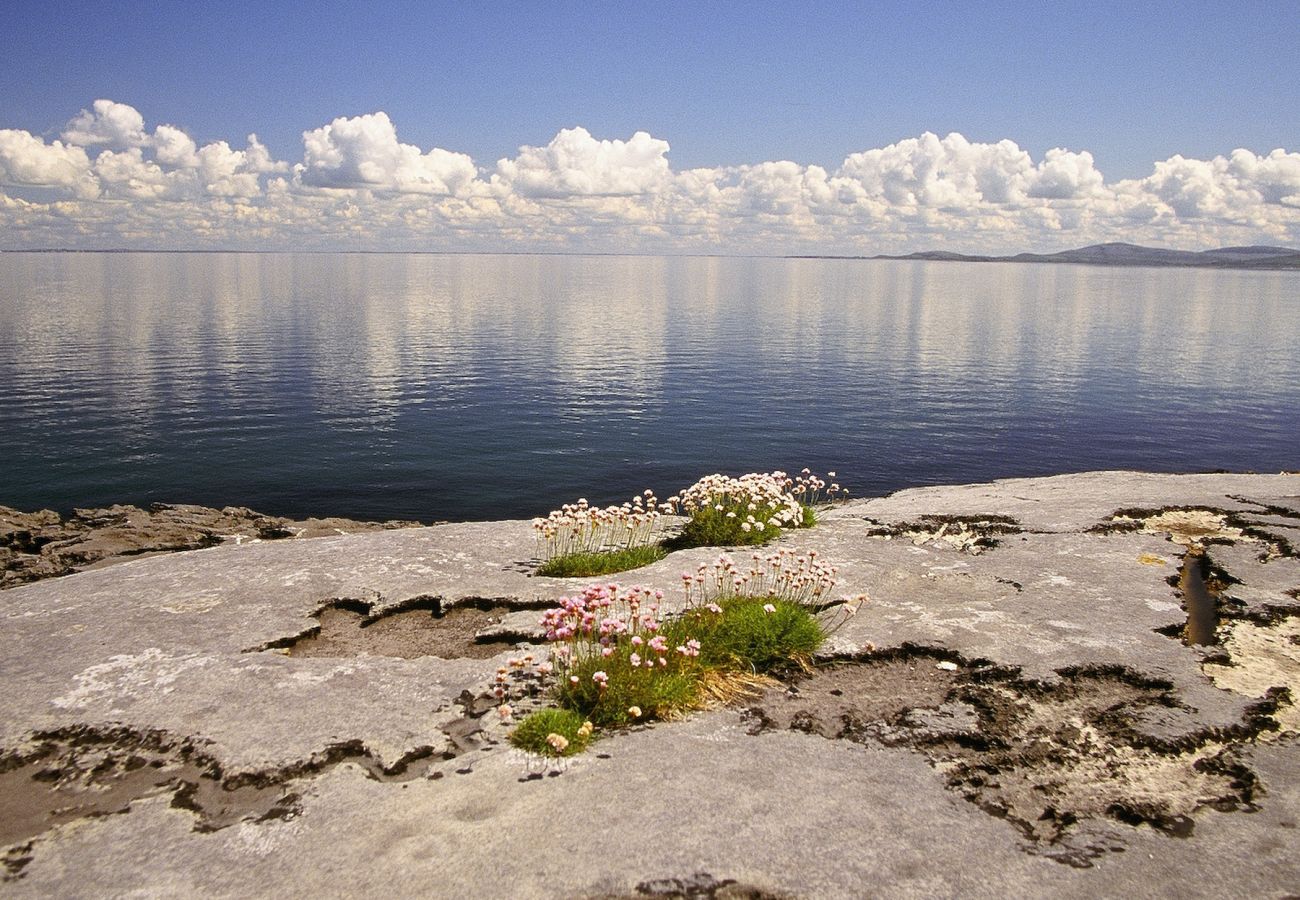 The Burren, County Clare, Ireland