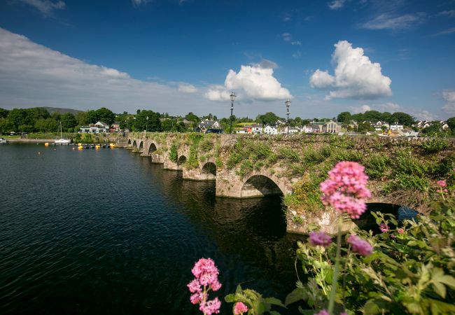 Bridge between Killaoe and Ballina County Clare Image copyright Failte Ireland and Tourism Ireland