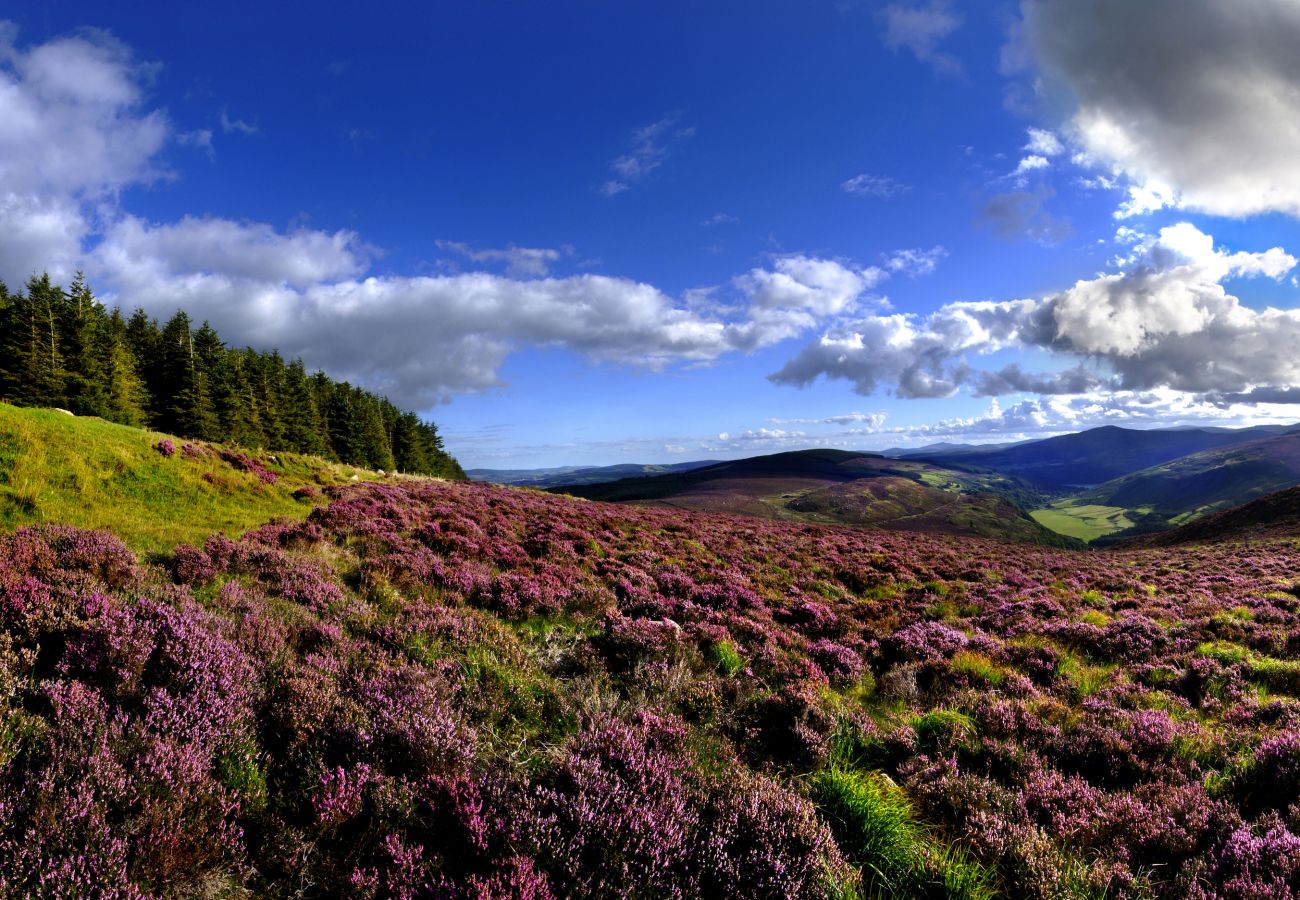 Wicklow Mountains Garden of Ireland Holiday Homes Wicklow