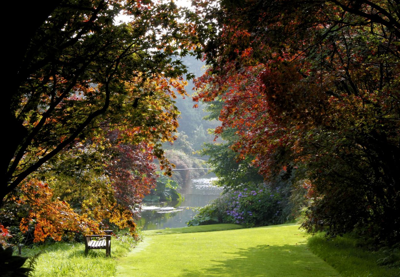 Mount Usher Gardens Ashford Wicklow Ireland