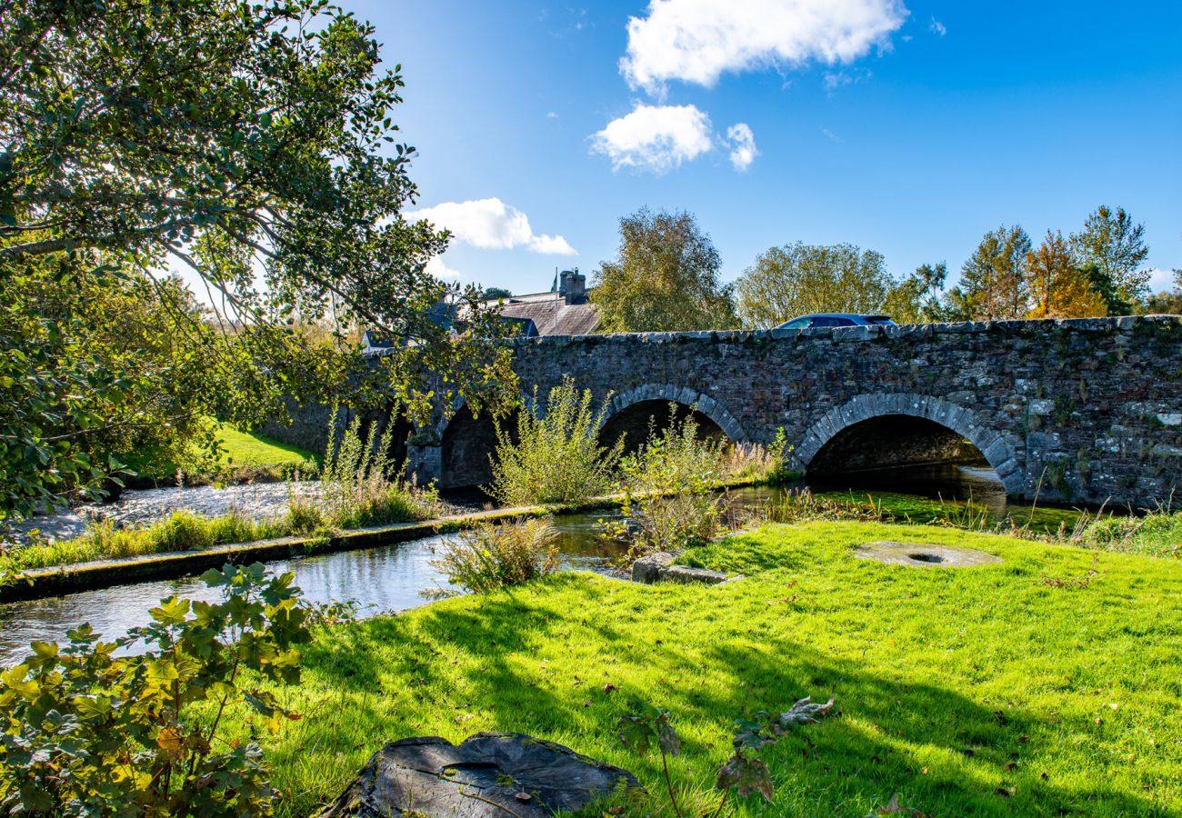 The River in Aughrim, County Wicklow, Ireland