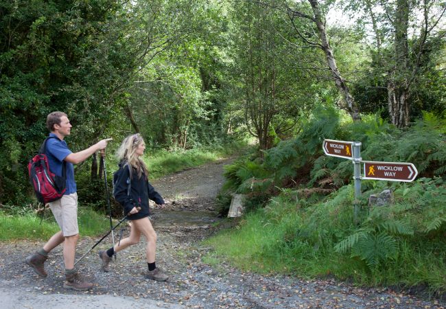 Wicklow Way Walking Trail, County Wicklow, Ireland