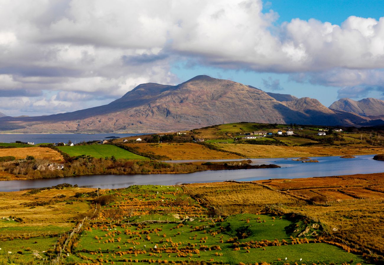 House in Oranmore - Galway Bay Holiday Lodge 