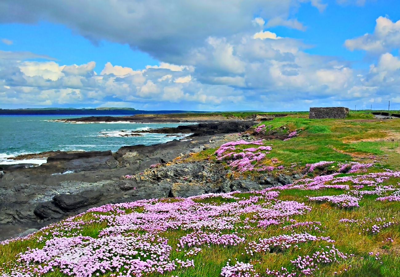 Sea Pinks at Hook Head, Wexford near Aurtherstown © Hook Tourism