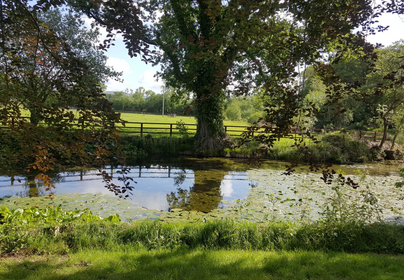 House in Piltown - Belline Estate