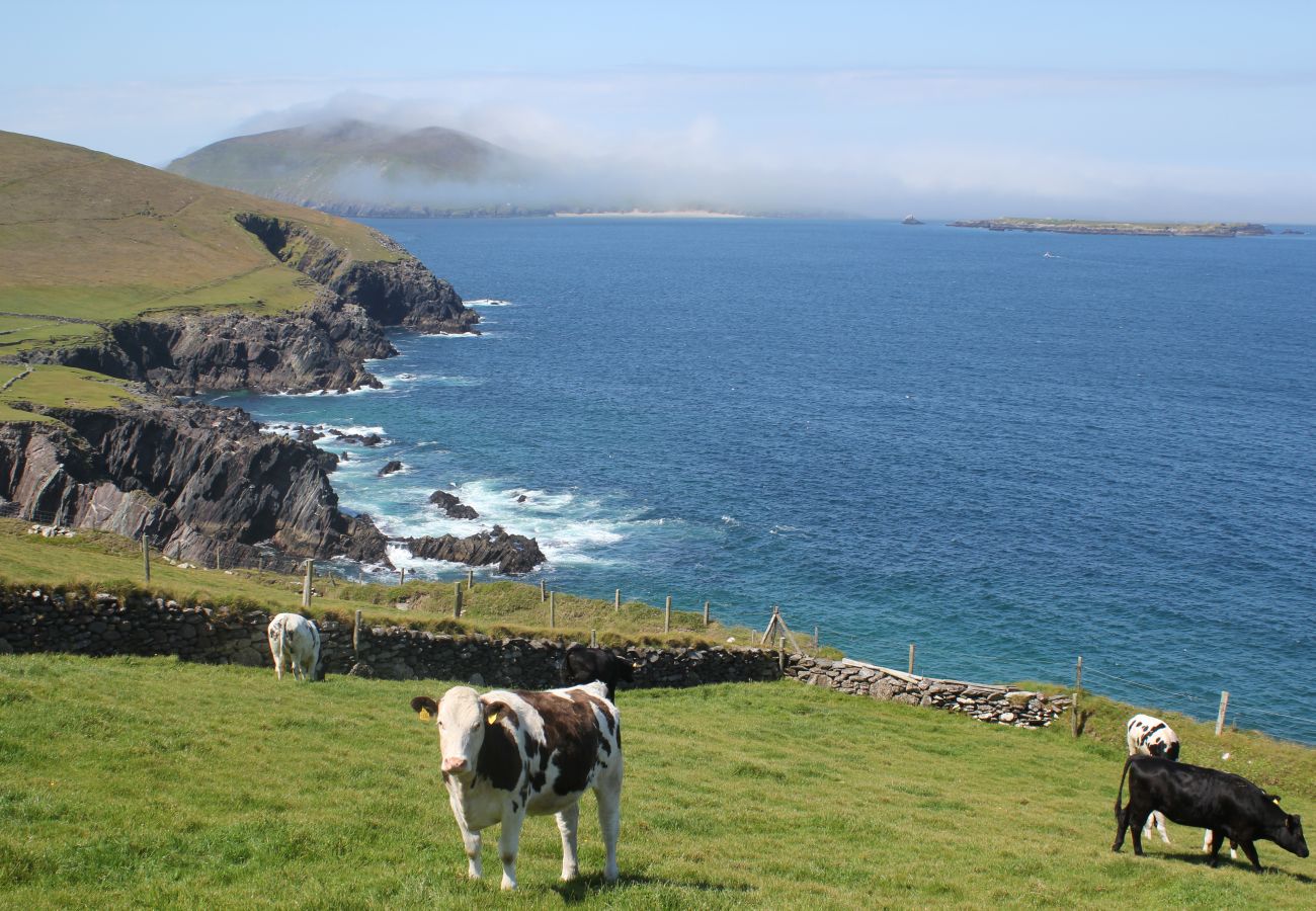 Fairfield Holiday Home, Dingle Co Kerry. Coastal views.