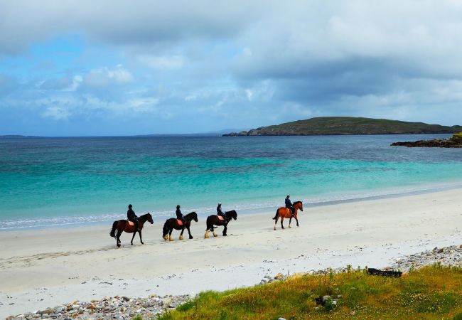 Horse Riding Beach, County Mayo