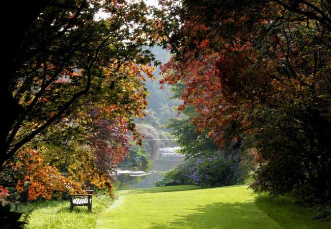 Mount Usher Gardens Ashford County Wicklow, Ireland