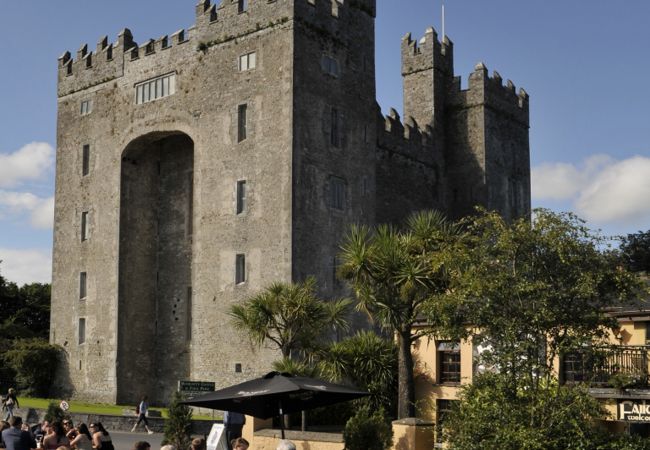 Bunratty Castle and Folk Park Holiday Homes in Clare Ireland