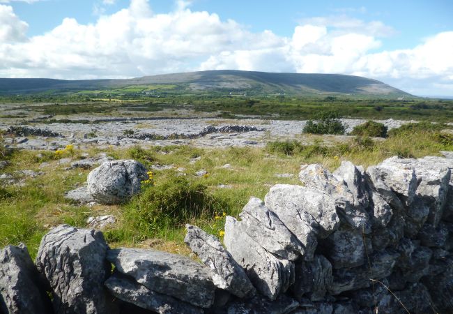 Burren Limestone Wall Holiday Homes in Clare Ireland