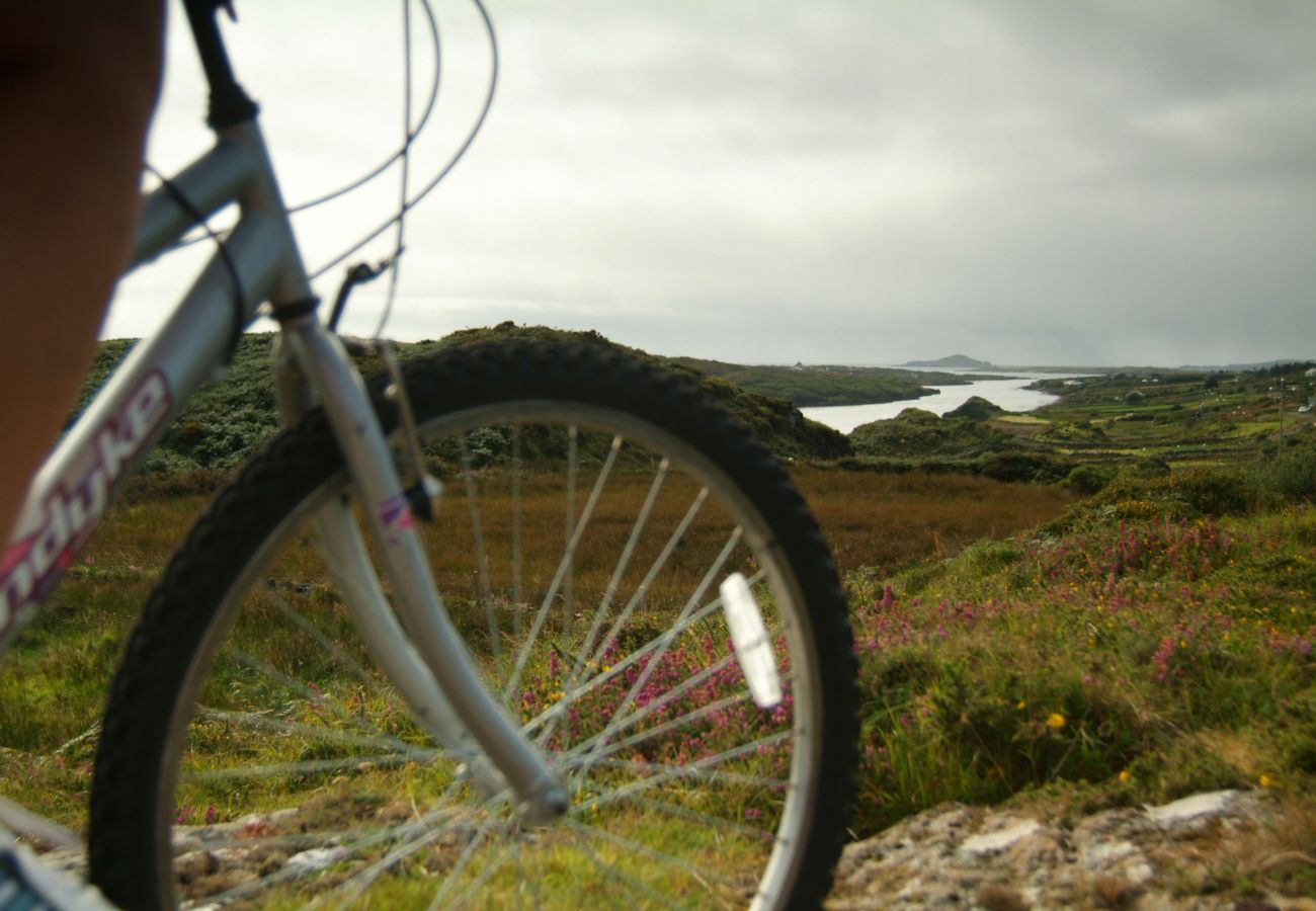 Connemara - Letterfrack Mountain - Galway - Tourism Ireland