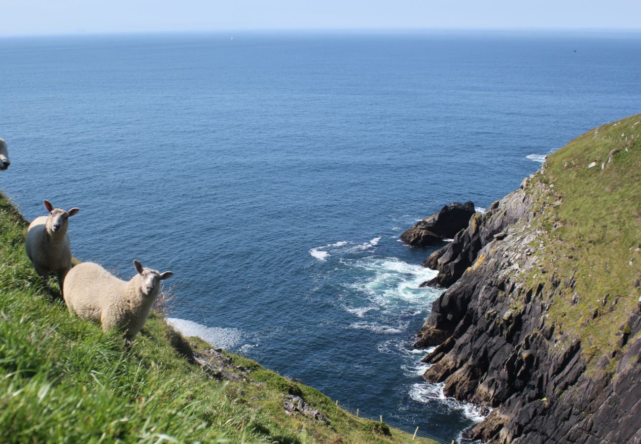 Dingle Kerry Peninsula