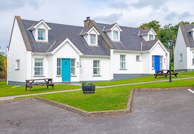 Dingle Harbour Cottages, Seaside Holiday Accommodation in Dingle County Kerry            