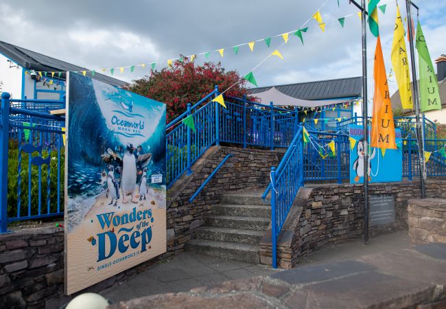 Oceanworld Aquarium, Dingle, County Kerry, Ireland