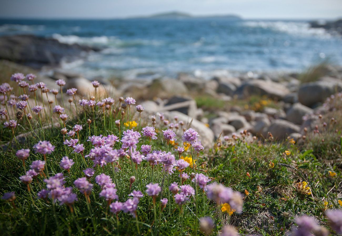 Local beach near Claddaghduff Holiday Cottage in Connemara County Galway