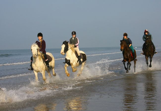 Horse Riding on Rossbeigh Beach, County Kerry © Fáilte Ireland