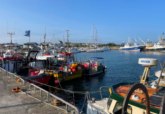 Cottage in Kilmore Quay - Coninbeg Holiday Cottage, Mill Road Farm Cottage in Kilmore Quay - Coninbeg Holiday Cottage, Mill Road Farm