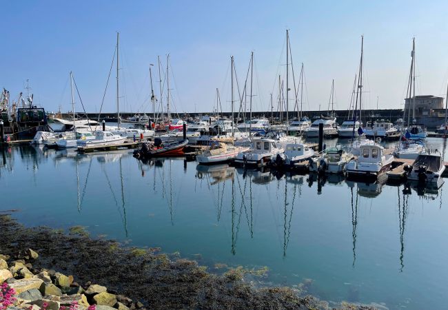 Cottage in Kilmore Quay - Coninbeg Holiday Cottage, Mill Road Farm Cottage in Kilmore Quay - Coninbeg Holiday Cottage, Mill Road Farm