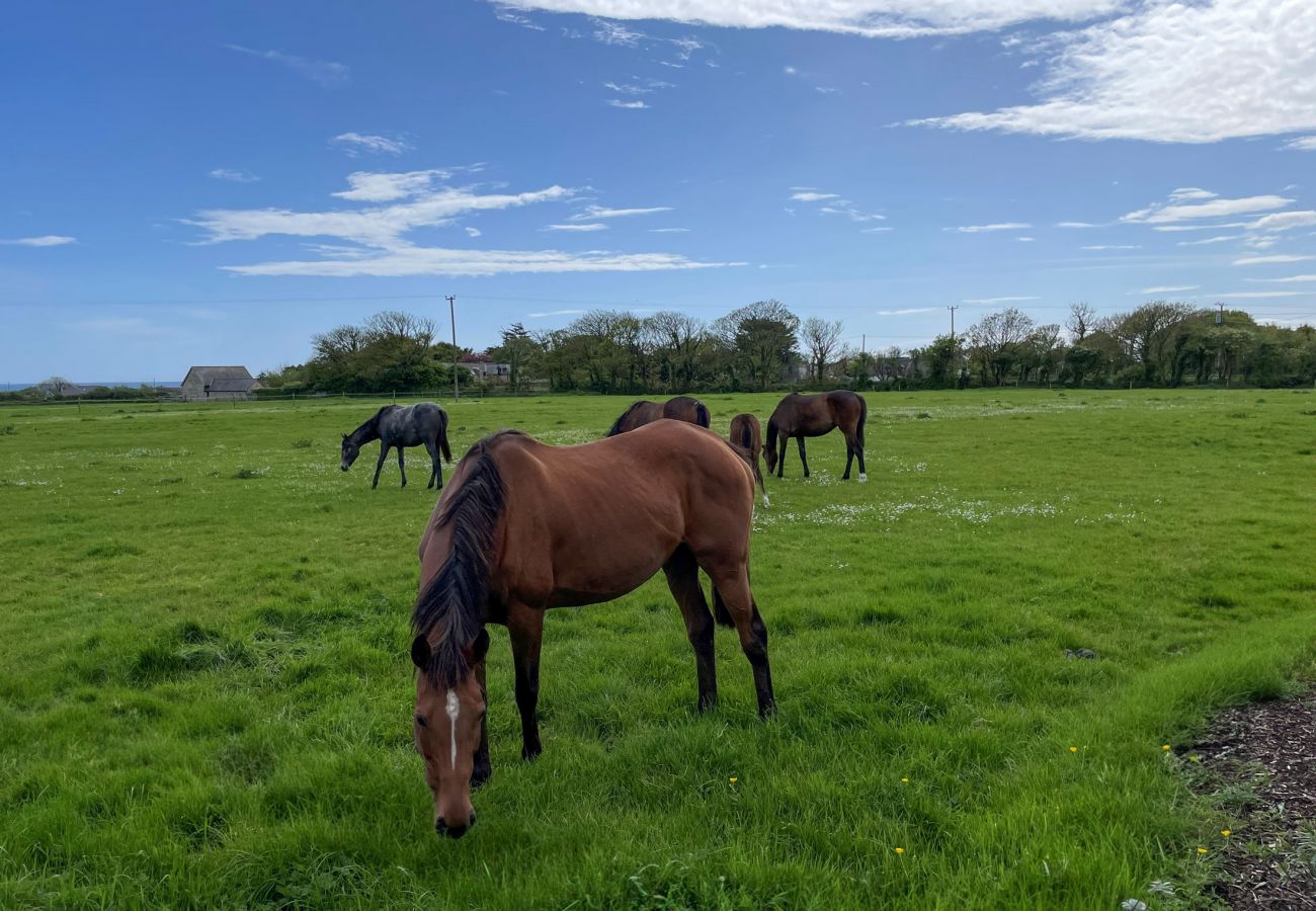 Coninbeg Holiday Cottage, Mill Road Farm, a pet-friendly holiday cottage available beside the picturesque village of Kilmore Quay in County Wexford. R