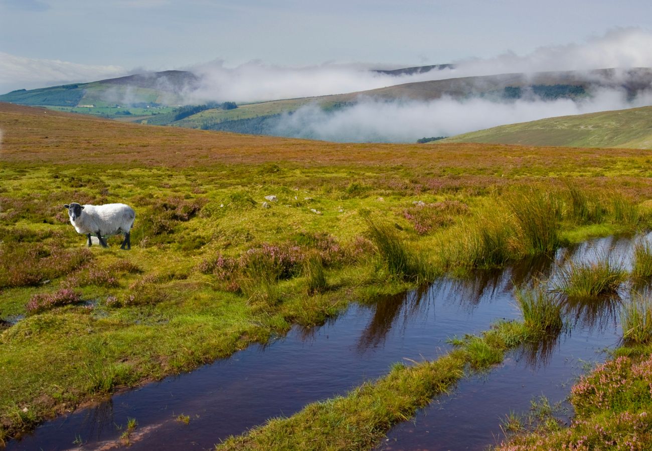 Galtee Mountains County Tipperary © Fáilte Ireland | Trident Holiday Homes