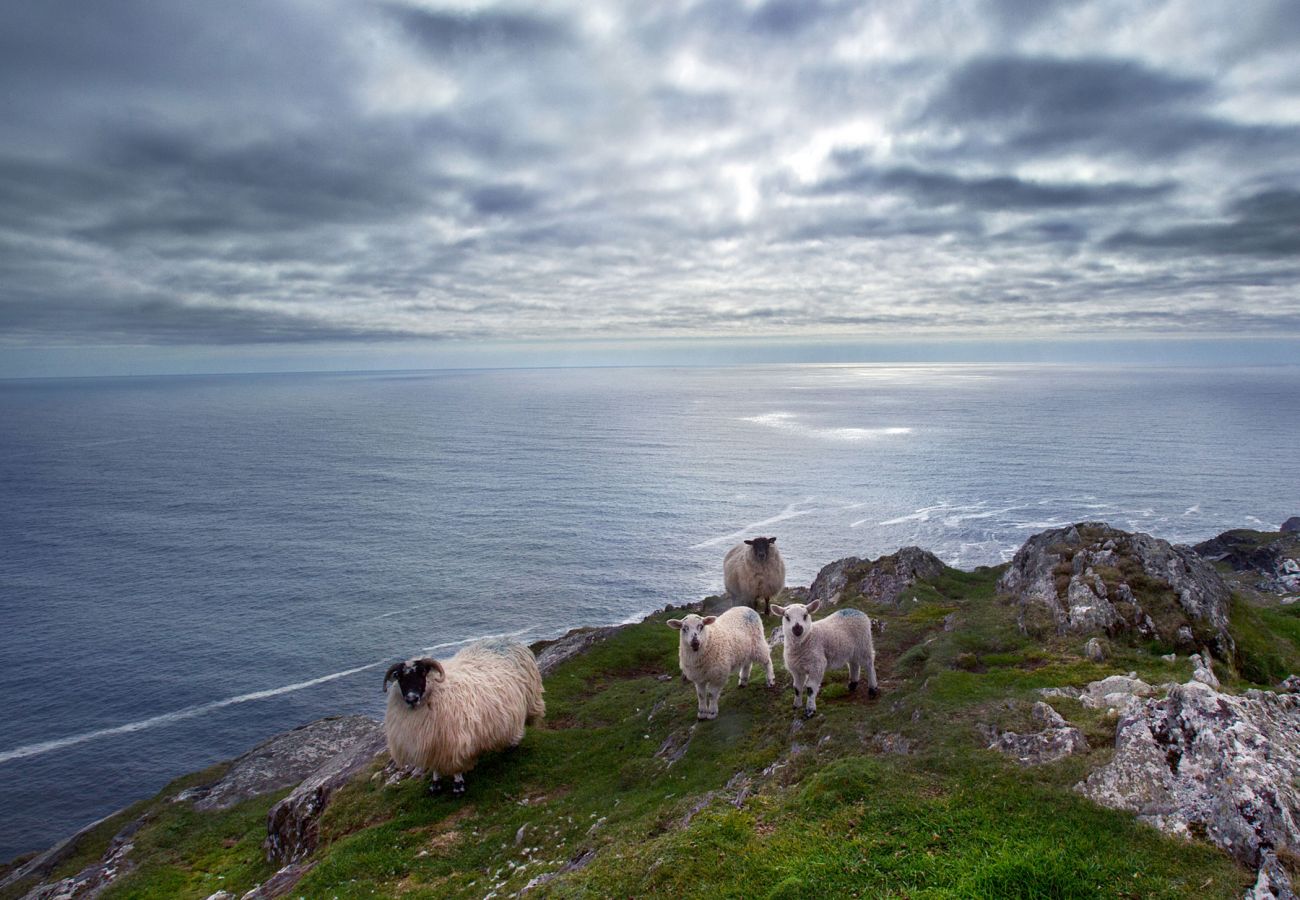 Southern Peninsulas, Sheep's Head, County Cork, Ireland