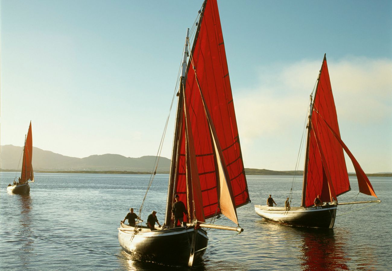 Galway Hookers Traditional Sailing Boats Betraboy Bay