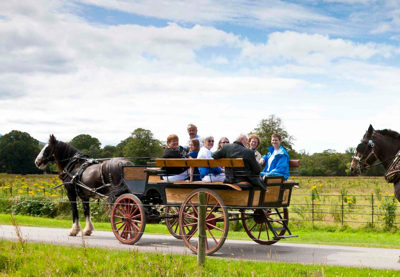 Jaunting Cars, Killarney, County Kerry © Stephen Power