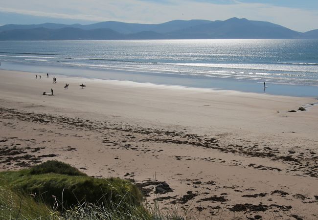 The Gathering, Inch Strand, County Kerry