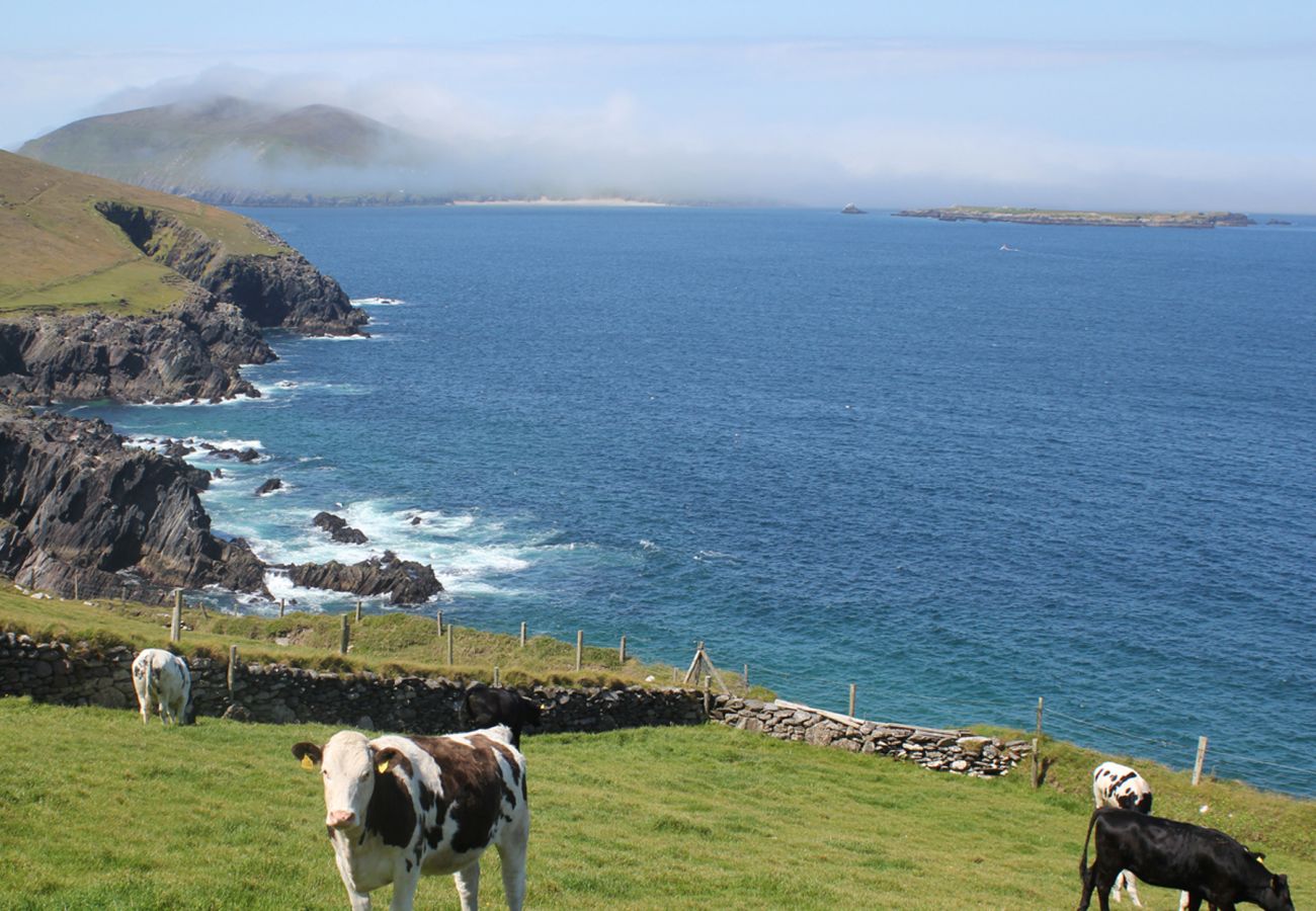 Dingle, County Kerry