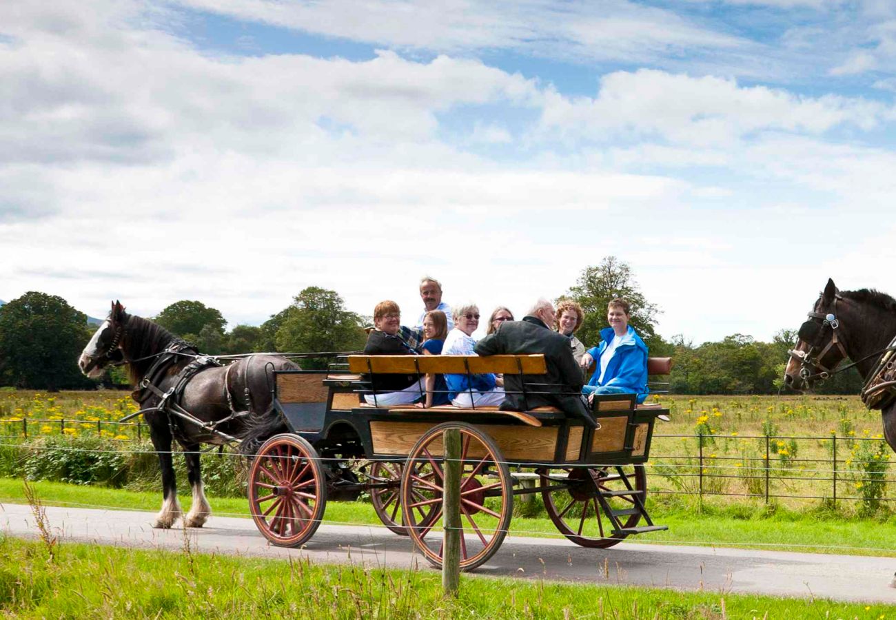 Killarney Jaunting Cars Kerry © Stephen Power