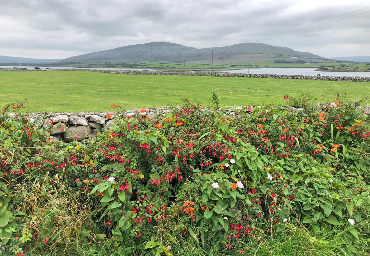 Serene Countryside, The Burren, County Galway