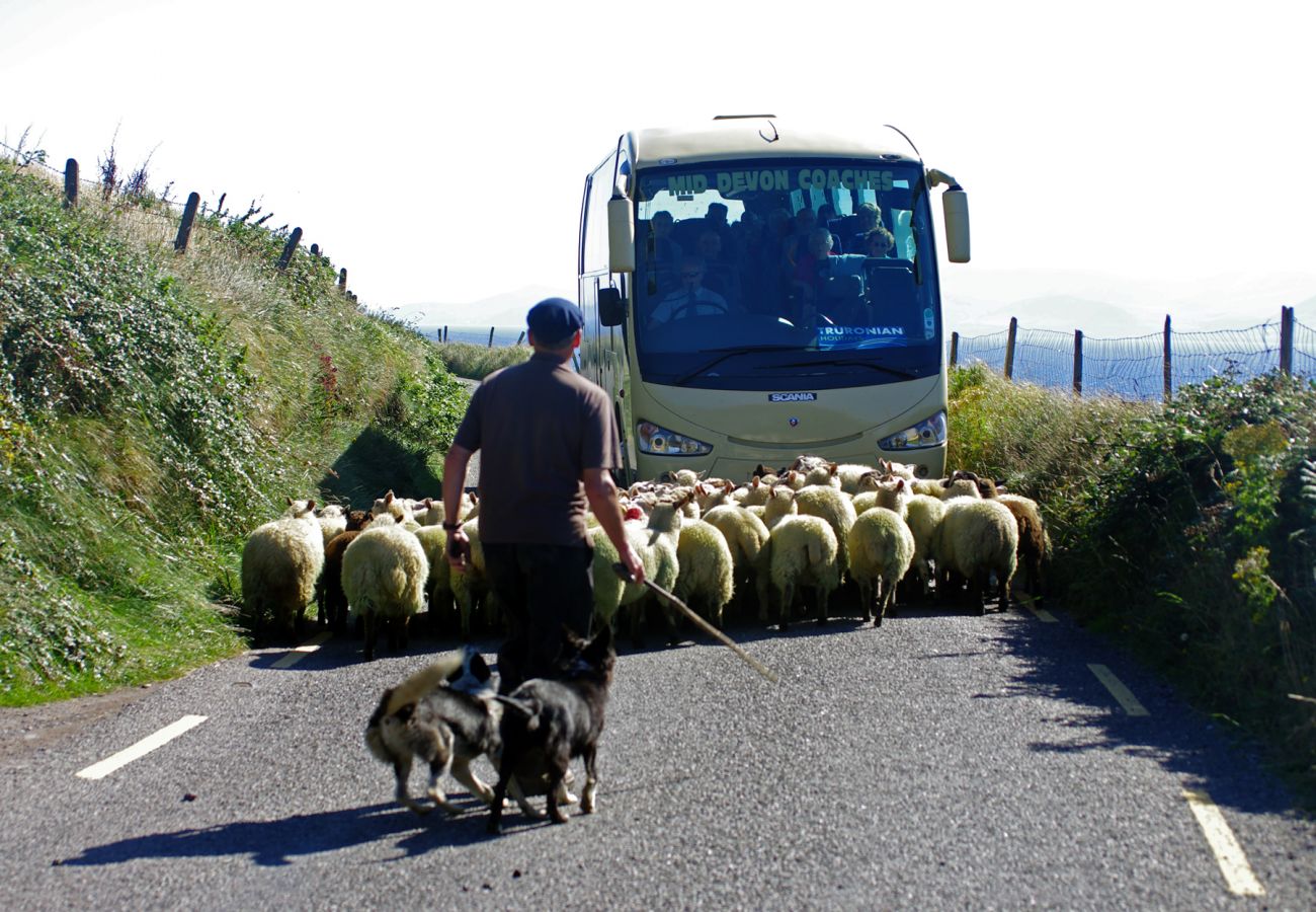 Dingle Peninsula, County Kerry © Failte Ireland