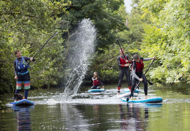 Group Stand Up Paddle Boarding Lough Derg KillaloeCo Clare Clare County Council