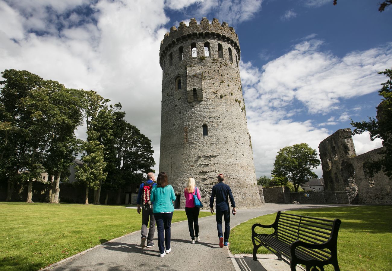 Nenagh Castle Co Tipperary Brian Morrison