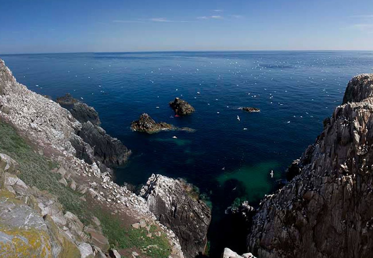 The Saltee Islands County Wexford image Tourism Ireland