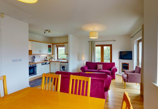 Lakeside Holiday Homes, Large Modern Water Side Holiday Accommodation in Killaloe County Clare