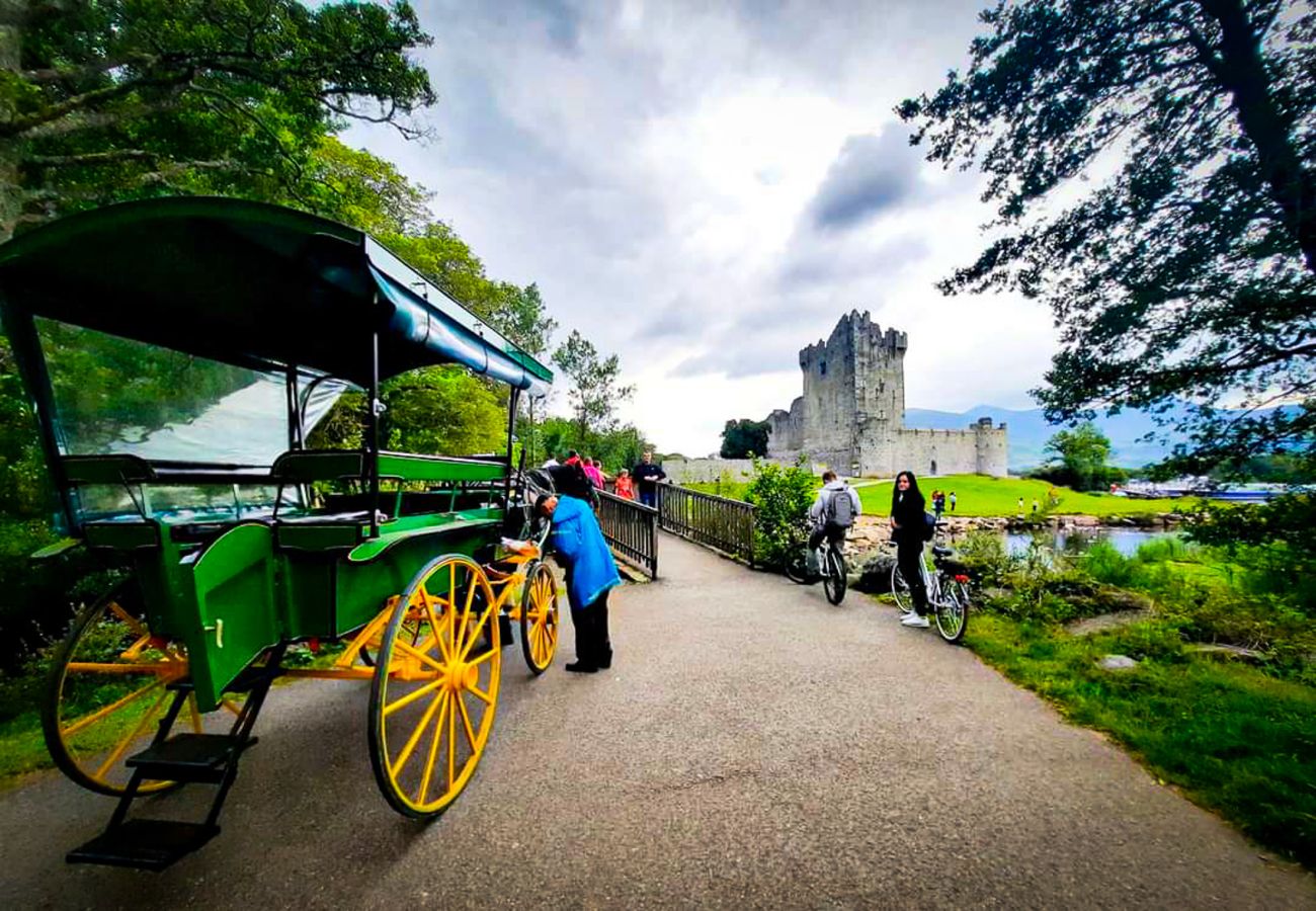 Ross Castle Killarney County Kerry Ireland