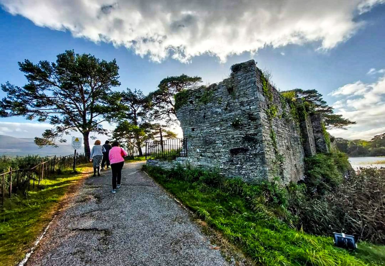 Walking Trail Killarney County Kerry Ireland