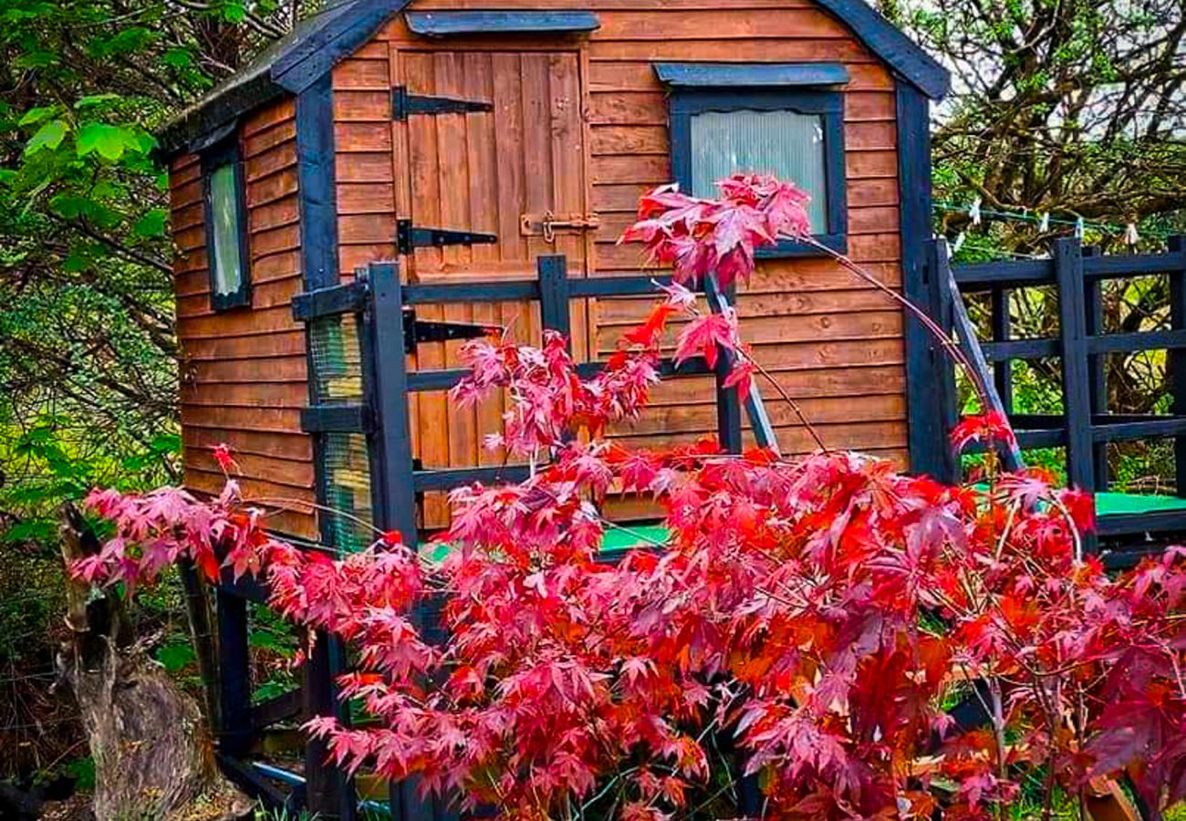 Garden Shed Knockmanagh Holiday Home Killarney