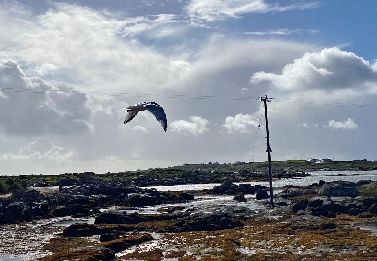 Carna, Connemara, County Galway