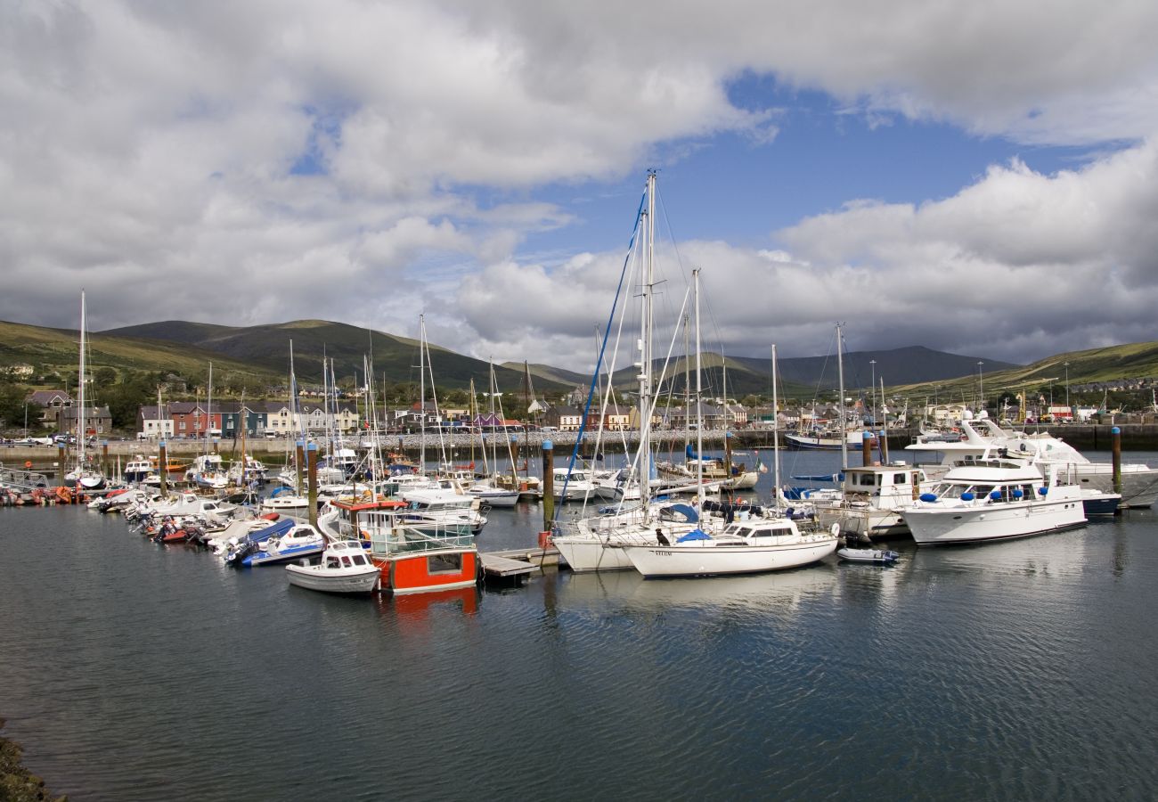 Dingle Marina County Kerry John Hession