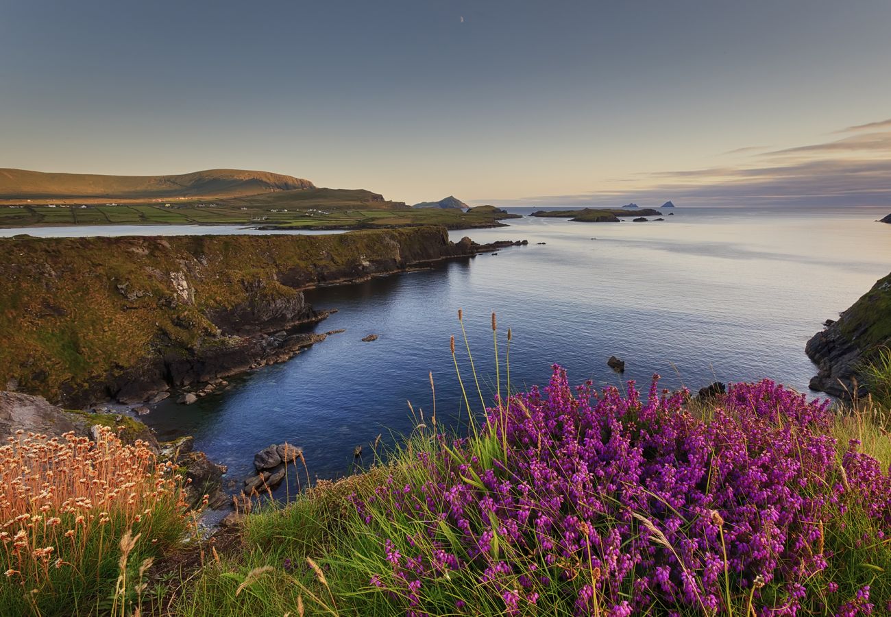 Valentia Island Kerry Ireland