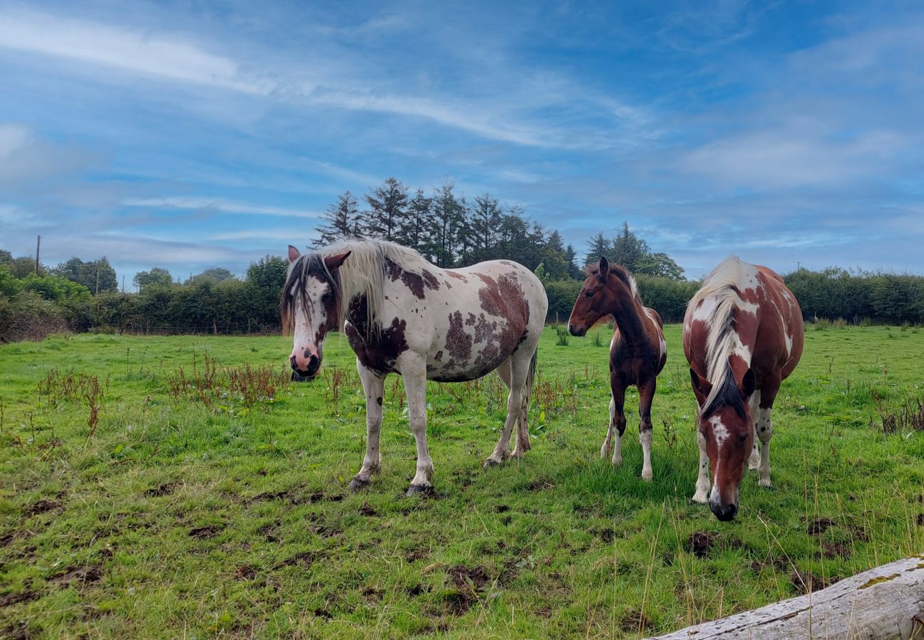  Farm View Cottage Castlerea, Castlerea, Co. Roscommon | Rural & quiet Self-Catering Holiday Accommodation Available in Castlerea, County Roscommon 